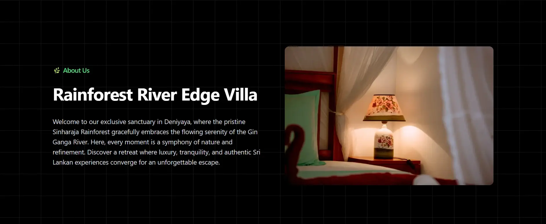 Rainforest River Edge Villa Website visualization 3